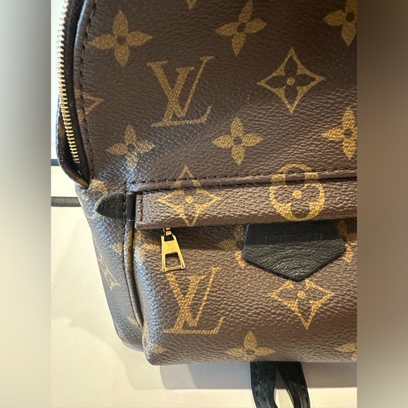 ✨SOLD ✨ Louis Vuitton Palm Springs Mini - Picture 10 of 12